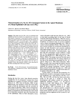 Characterization of a Na∶K∶2Cl cotransport system in the apical