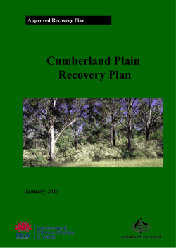Cumberland Plain Recovery Plan - Office of Environment and Heritage
