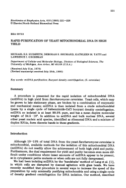 RAPID PURIFICATION OF YEAST MITOCHONDRIAL