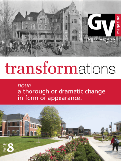 noun a thorough or dramatic change in form or appearance.