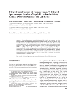 Infrared Spectroscopy of Human Tissue. V. Infrared Spectroscopic