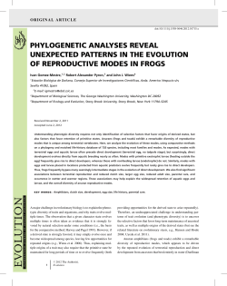 phylogenetic analyses reveal unexpected patterns in