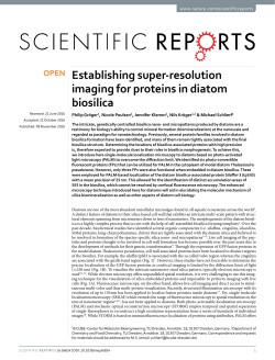 Establishing super-resolution imaging for proteins in diatom biosilica