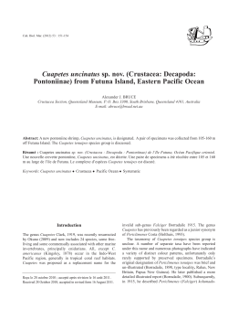 Cuapetes uncinatus sp. nov.