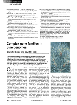 Complex gene families in pine genomes