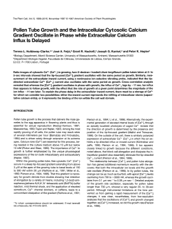 Pollen Tube Growt h and the lntracellular Cytosolic
