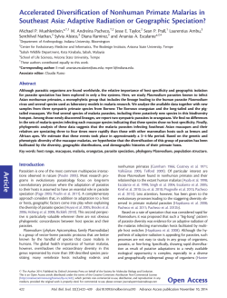 Article Accelerated Diversification of Nonhuman