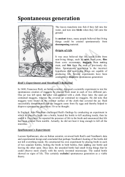 Spontaneous generation