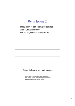 Lecture 2_Renal_V_Campbell