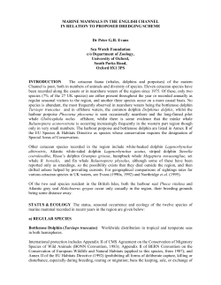 marine mammals in the english channel