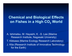 Chemical and biological effects on fishes in a high