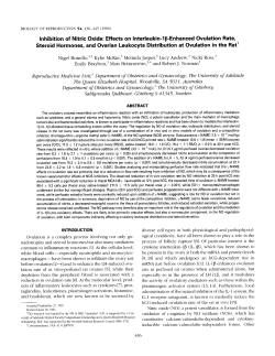 Inhibition of Nitric Oxide: Effects on Interleukin-l&beta;