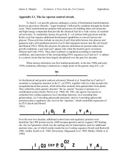 Appendix I.1. The lac operon control circuit.
