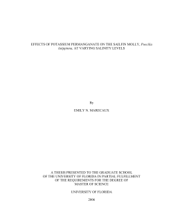 EFFECTS OF POTASSIUM PERMANGANATE ON THE SAILFIN