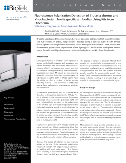 Fluorescence Polarization Detection of Brucella abortus and