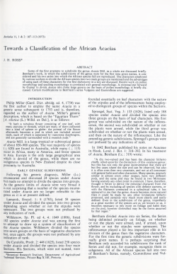 Towards a Classification of the African Acacias