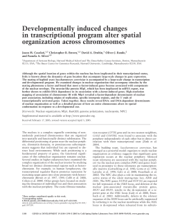 Developmentally induced changes in transcriptional program alter