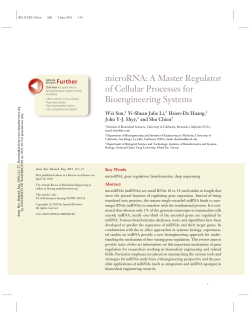 microRNA: A Master Regulator of Cellular Processes for