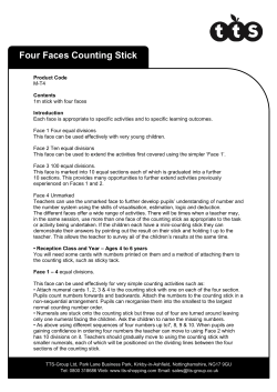 Four Faces Counting Stick