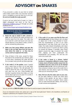 Advisory on Snakes