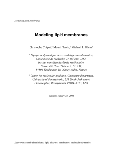 Modeling lipid membranes