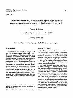 The natural herbicide, cyanobacterin, specifically disrupts thylakoid