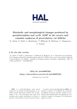 Metabolic and morphological changes produced by