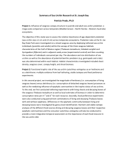 Influence of seagrass canopy structure in juvenile and adult sea
