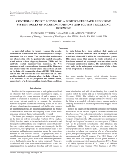 control of insect ecdysis by a positive