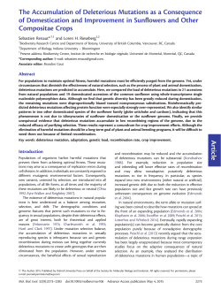 The Accumulation of Deleterious Mutations as a