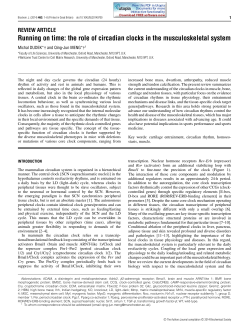 the role of circadian clocks in the musculoskeletal system