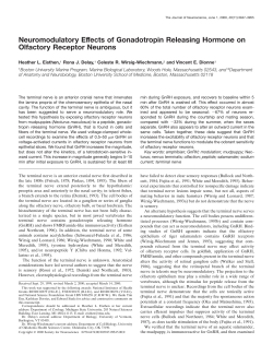Neuromodulatory Effects of Gonadotropin Releasing Hormone on