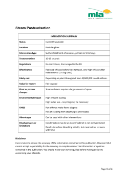 Steam Pasteurisation