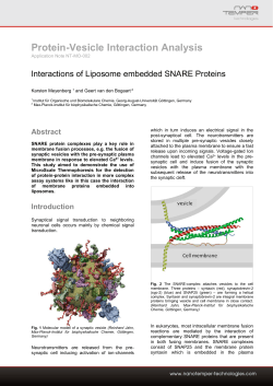 Protein-Vesicle Interaction Analysis