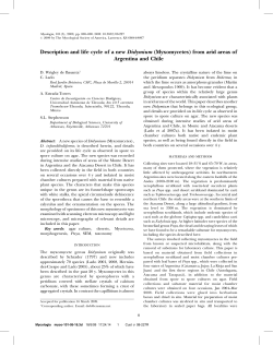 Description and life cycle of a new Didymium (Myxomycetes) from