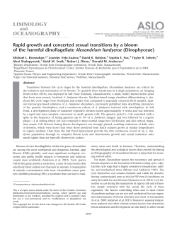 Rapid growth and concerted sexual transitions by a bloom of the