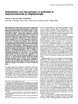 Redistribution and Internalization of Antibodies to