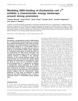 Modeling DNA-binding of Escherichia coli p exhibits a characteristic