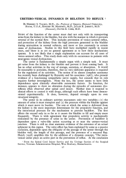 Uretero-Vesical Dynamics in Relation to Reflux