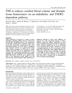 TNF-a reduces cerebral blood volume and disrupts tissue