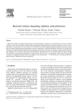 Bacterial isolates degrading aliphatic polycarbonates