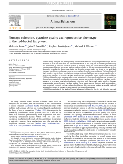 Plumage coloration, ejaculate quality and reproductive phenotype in