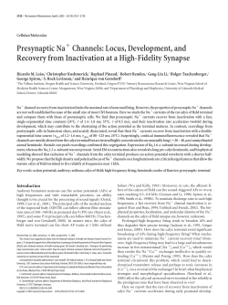 Presynaptic Na Channels: Locus, Development, and