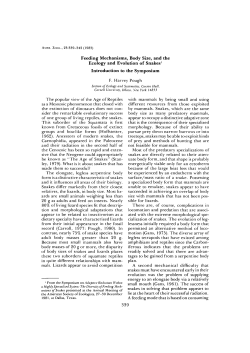 Feeding Mechanisms, Body Size, and the Ecology and Evolution of