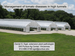 Management of tomato diseases in high tunnels