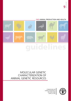 Draft Guidelines on Molecular Genetic Characterization