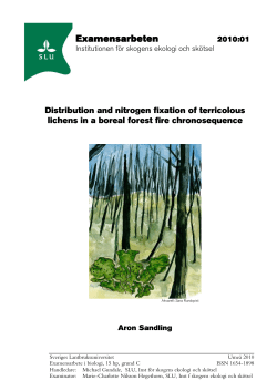 Distribution and nitrogen fixation of terricolous lichens