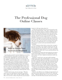 The Professional Dog Online Classes