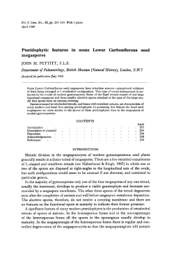 Pteridophytic features in some Lower Carboniferous seed megaspores