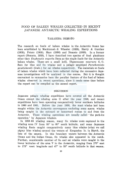 FOOD OF BALEEN WHALES COLLECTED IN RECENT JAPANESE